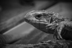 30代未経験者におすすめの転職サイトは？