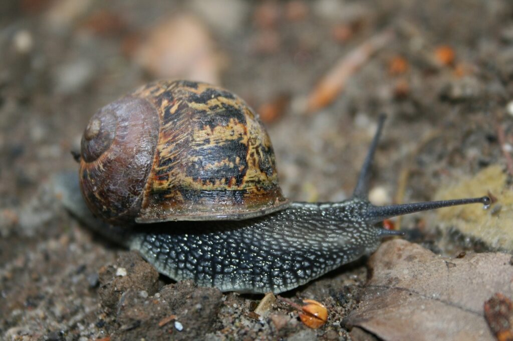 30代の転職での産休育休取得実績はどれくらい？