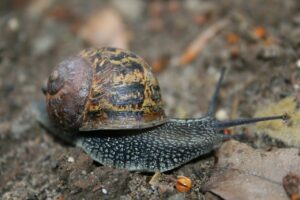 30代の転職での産休育休取得実績はどれくらい？