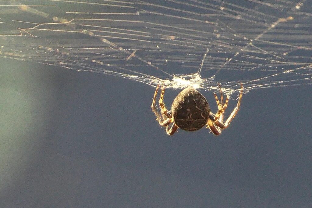 30代未経験からWebデザイナーへの転職は可能か？