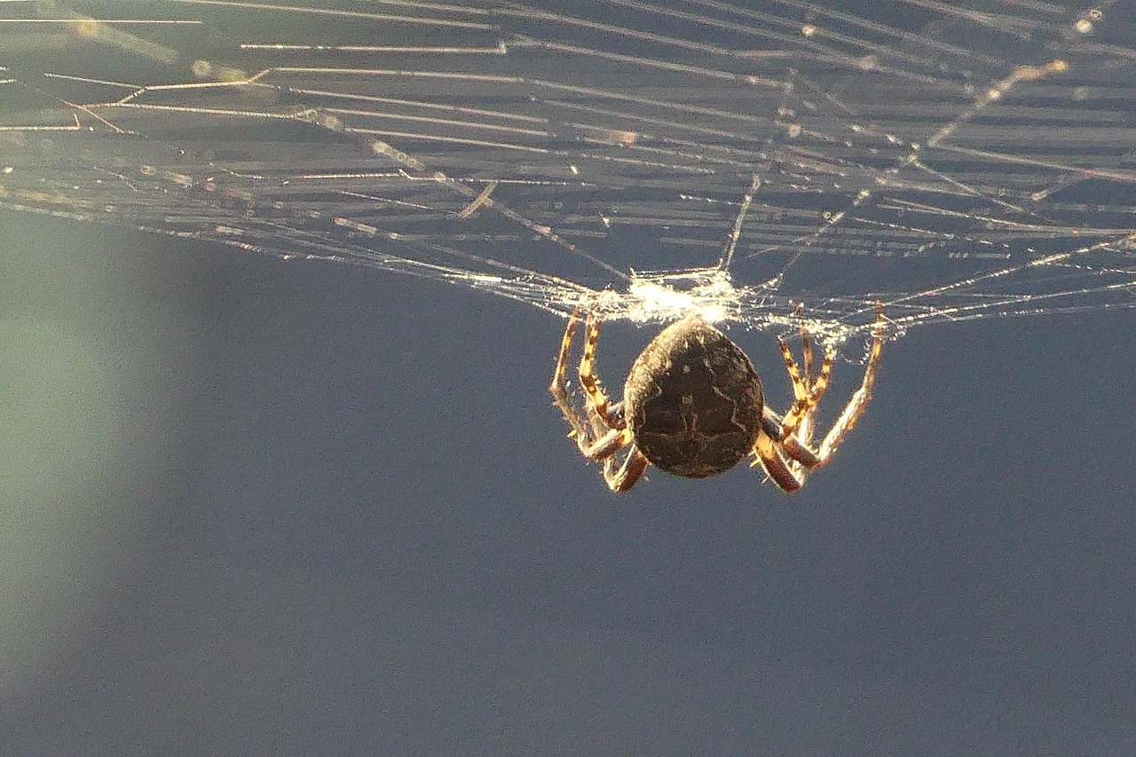 30代未経験からWebデザイナーへの転職は可能か？